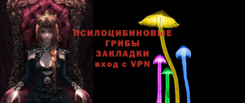 kraken tor  Абдулино  Псилоцибиновые грибы Cubensis 